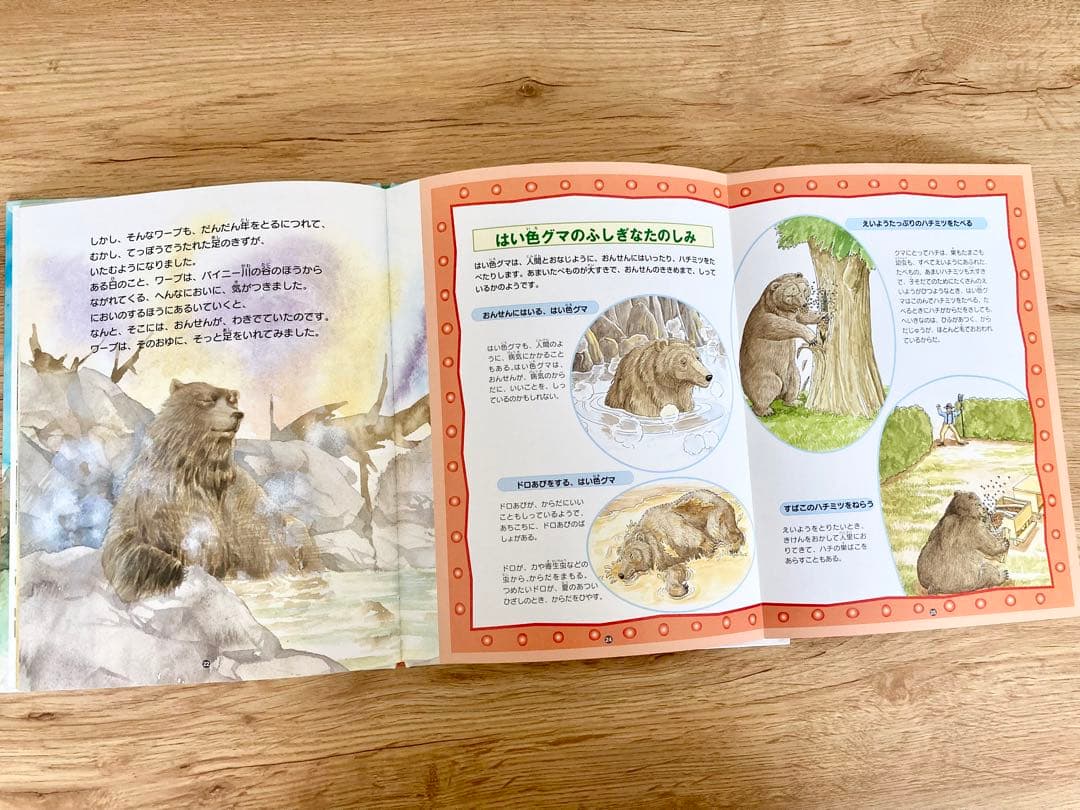 〈初版〉  絵本図鑑 シートンどうぶつ記　全巻 5巻セット　金の星社