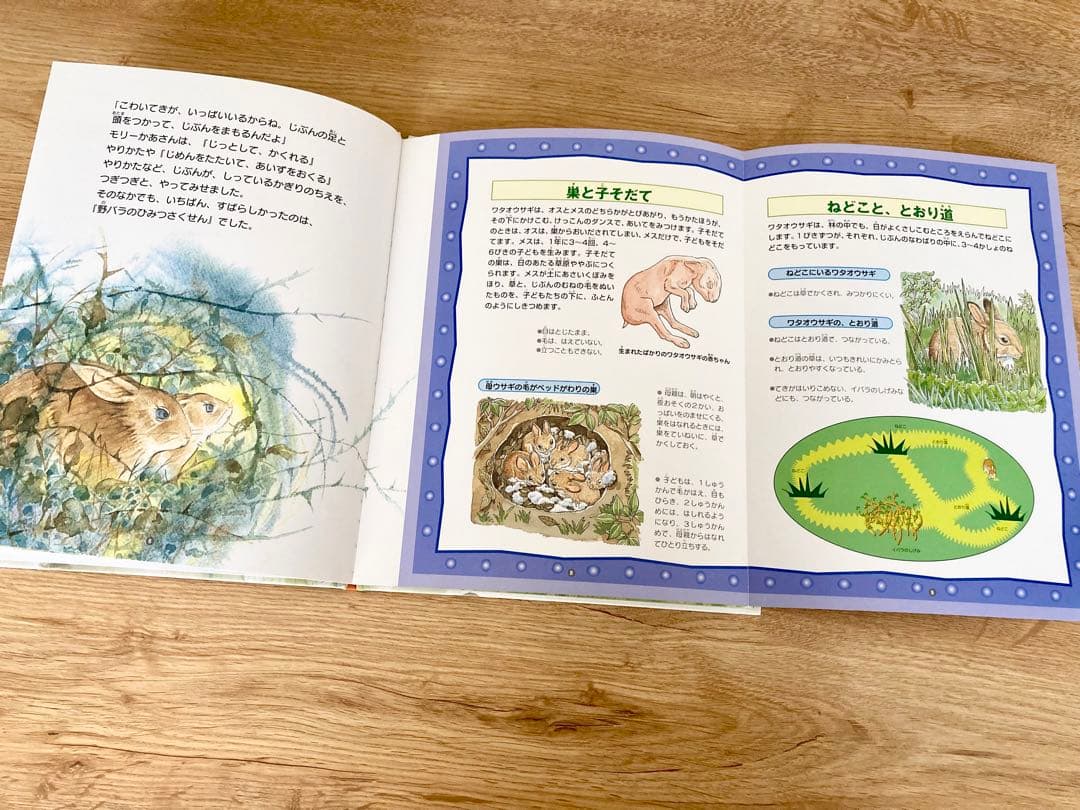 〈初版〉  絵本図鑑 シートンどうぶつ記　全巻 5巻セット　金の星社