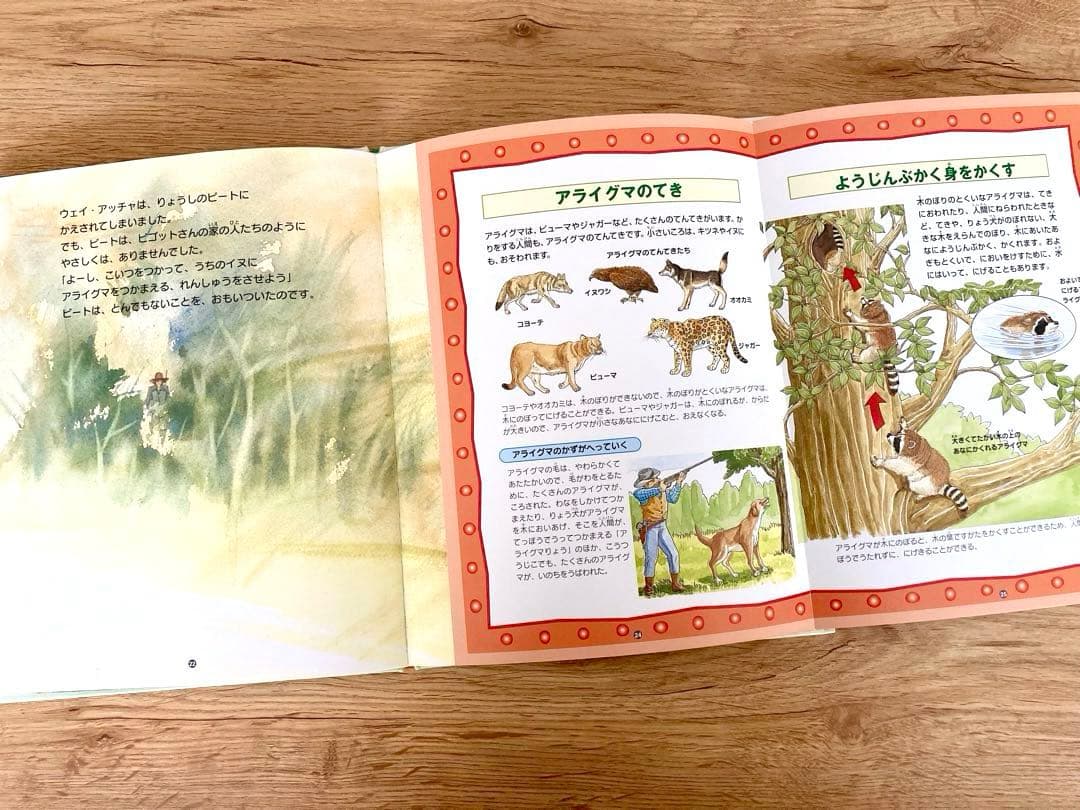 〈初版〉  絵本図鑑 シートンどうぶつ記　全巻 5巻セット　金の星社