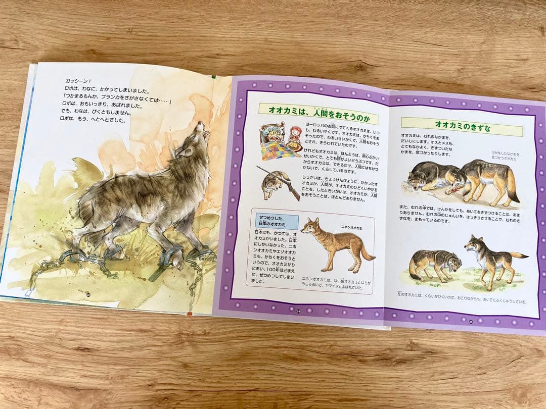 〈初版〉  絵本図鑑 シートンどうぶつ記　全巻 5巻セット　金の星社