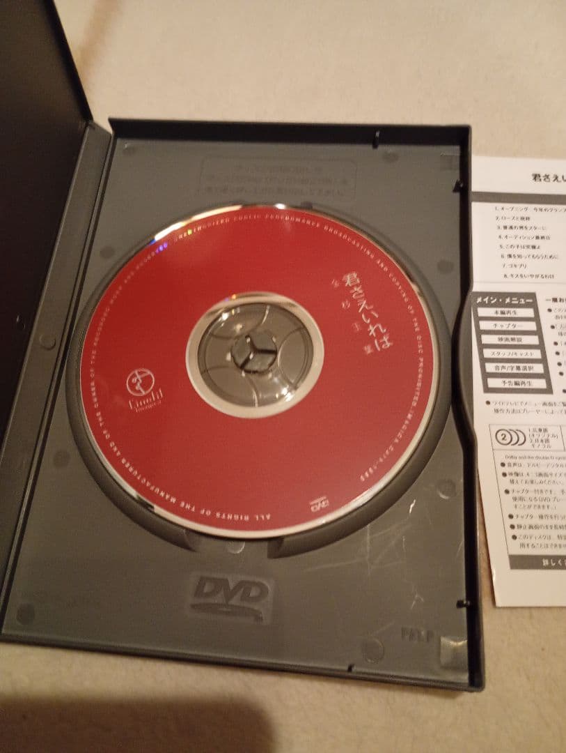 香港映画　君さえいれば 金枝玉葉DVD＋パンフレット＋チラシ