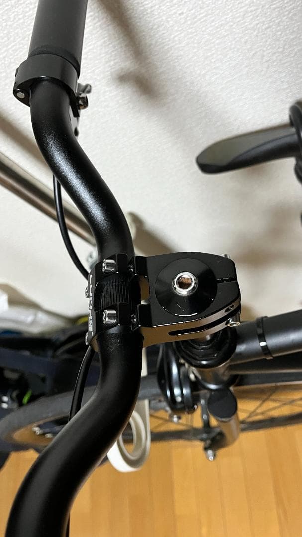 FUJI FEATHER（フジ フェザー）マットブラック　サイズ49cm ピスト