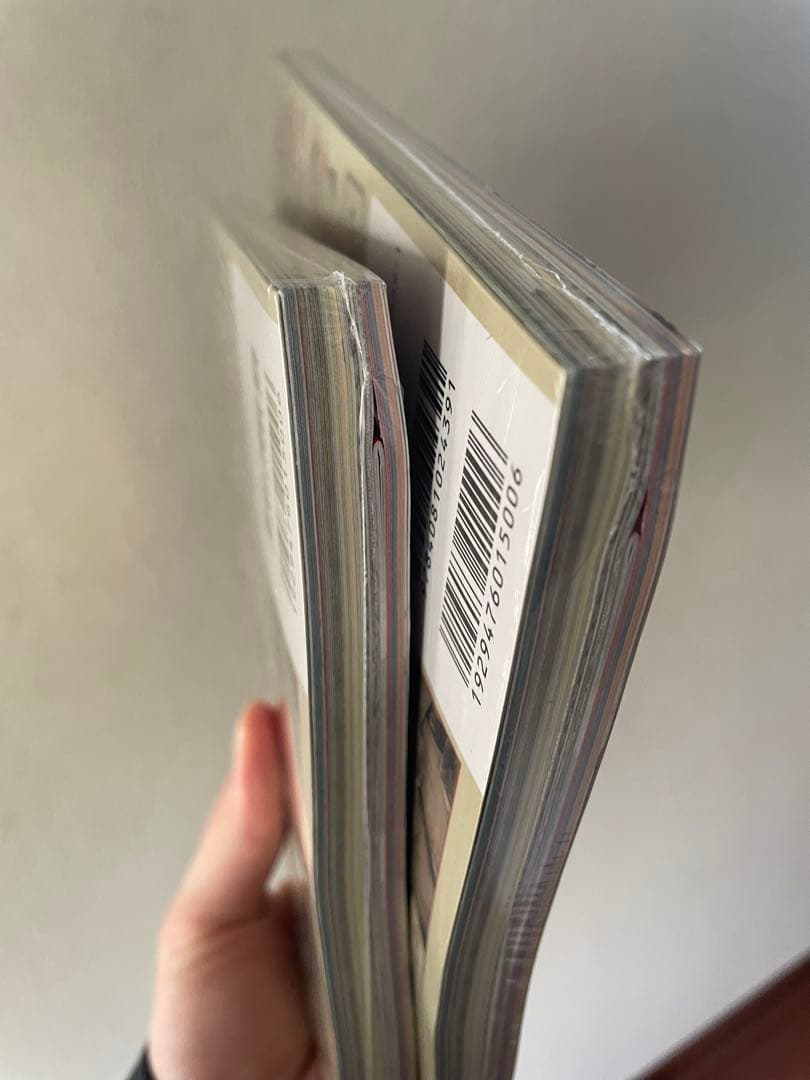 ONE PIECE magazine 20号　2冊 新品未読シュリ付