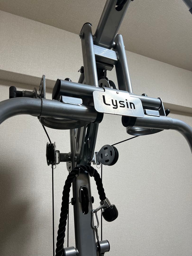 引取限定 ライシン Lysin ホームジム トレーニングマシン LS-EXGYM