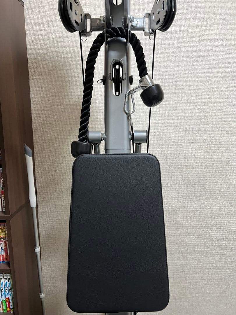 引取限定 ライシン Lysin ホームジム トレーニングマシン LS-EXGYM