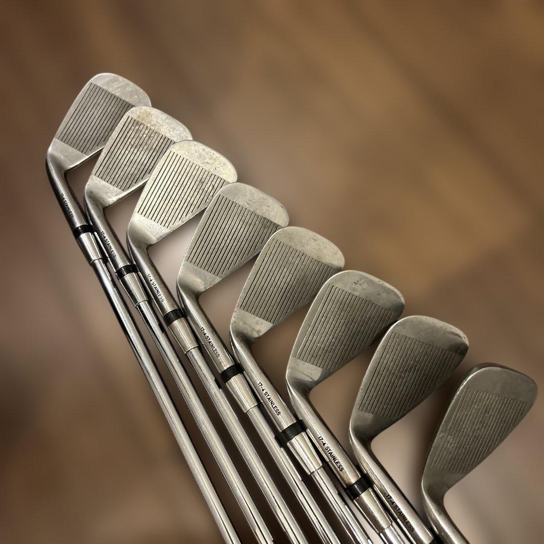 LINX MASTER MODEL リンクス マスターモデル　3-9.Pw