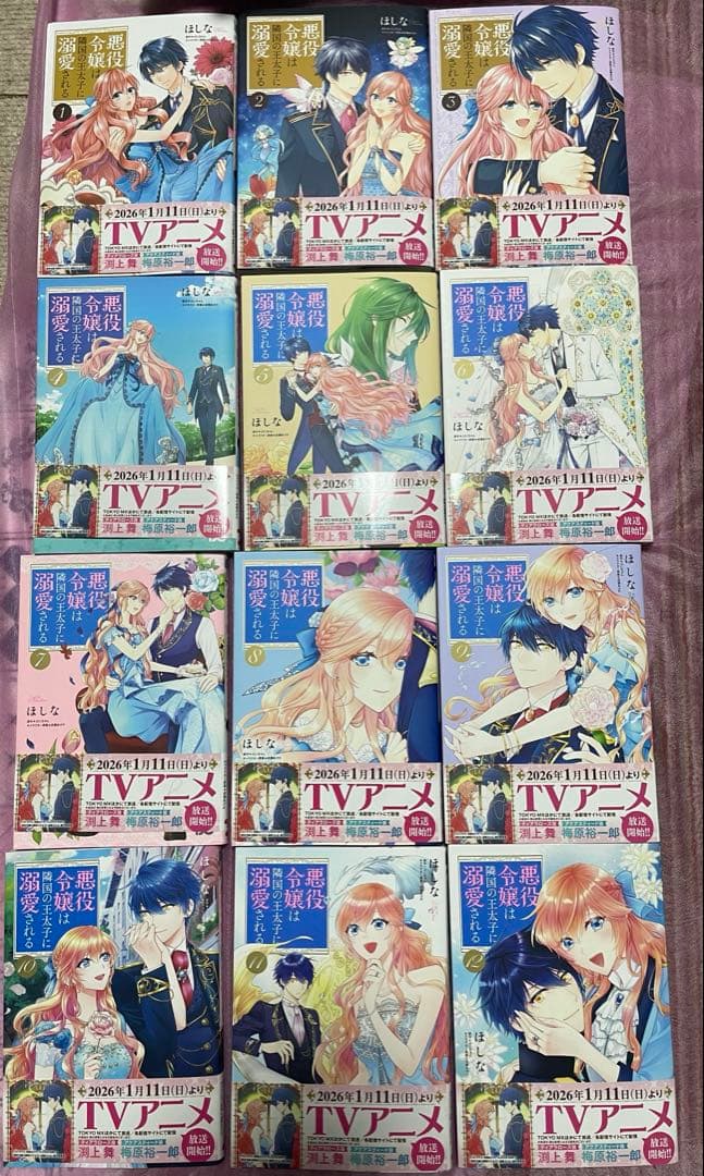 悪役令嬢は隣国の皇太子に溺愛される　1〜17巻セット