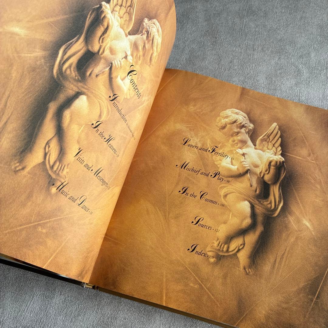 『Cherubs Angels of Love』天使を集めたアートブック