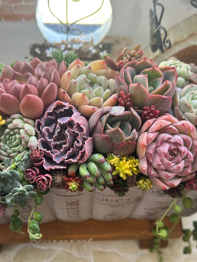 ・:*多肉植物そのまま飾れる・:*洋書ブックプランターアイボリー大きめ・:*