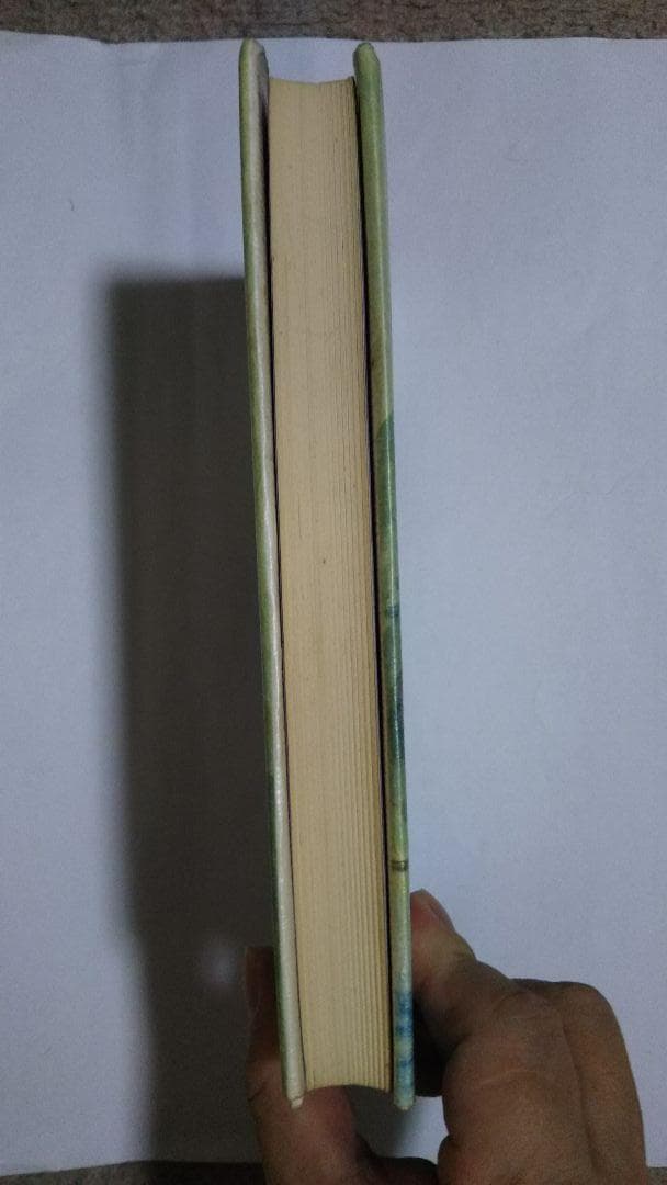 無量の日々 大森智祥 　辯天宗