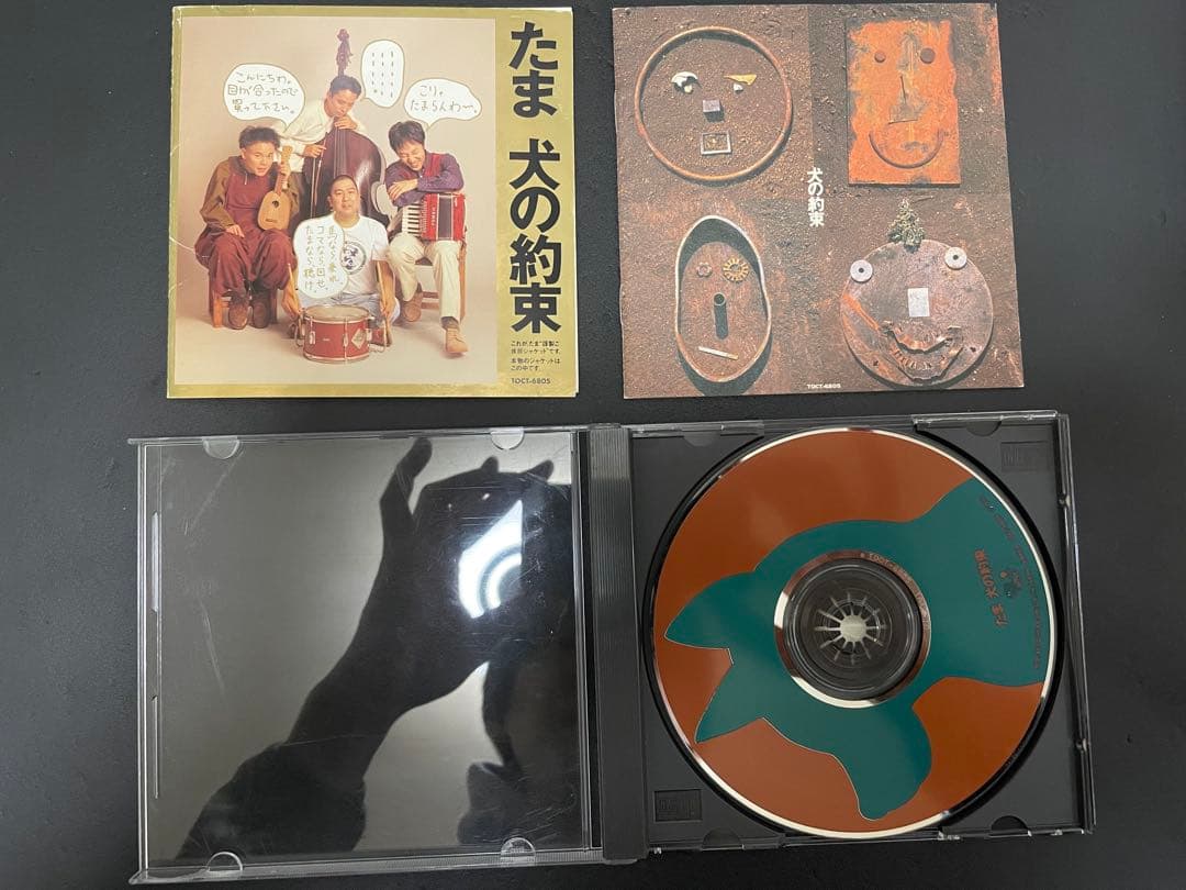 たま　CD 7枚セット　知久寿焼　石川浩二　柳原幼一郎　滝本晃司