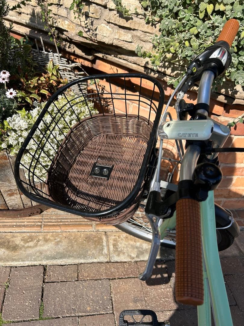 子供 自転車 20 インチ coggey khodaa bloom 豊洲で購入