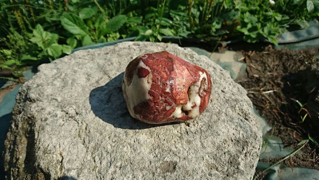 赤い石 岩石 鉱物