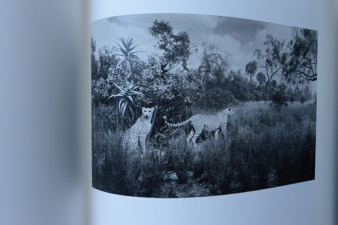 【Hiroshi Sugimoto: Dioramas/杉本博司】