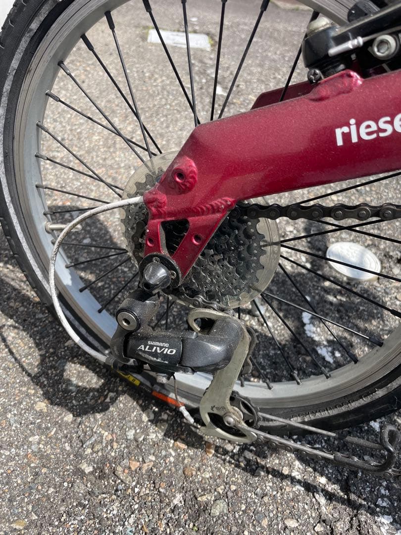 BD-1 中古 rises und muller サドル無し