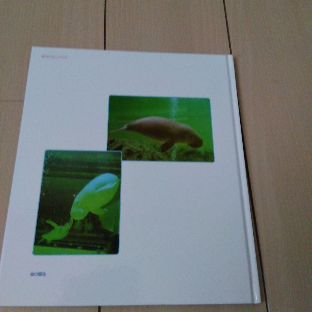 絵本　１２冊　まとめ売り