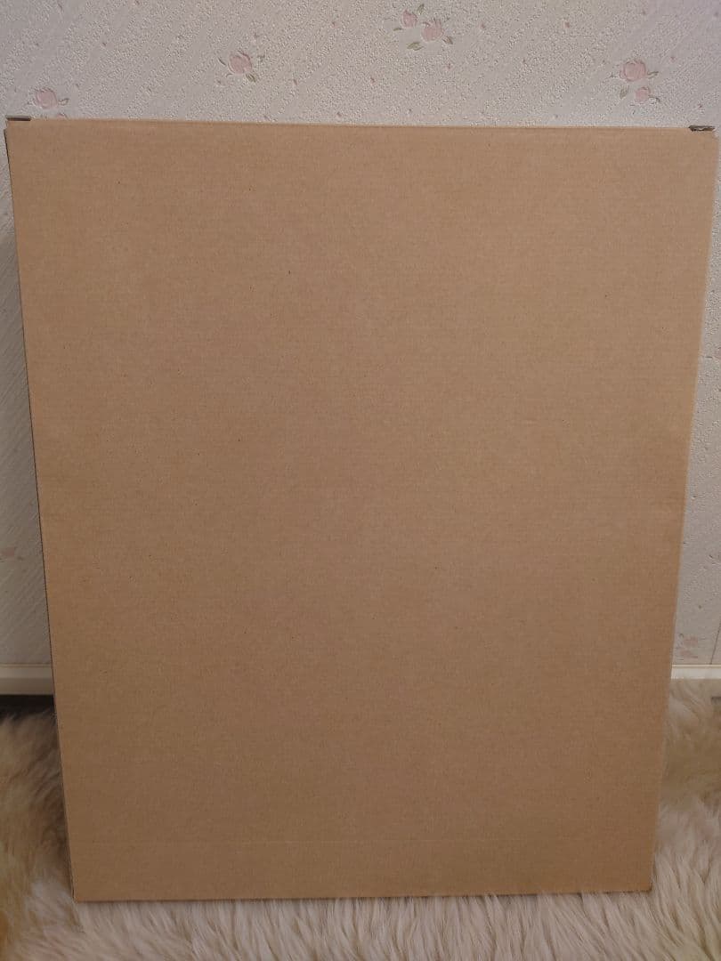 あだち充 画業30周年記念/TIME CAPSULE タッチ 特製複製原画 額付