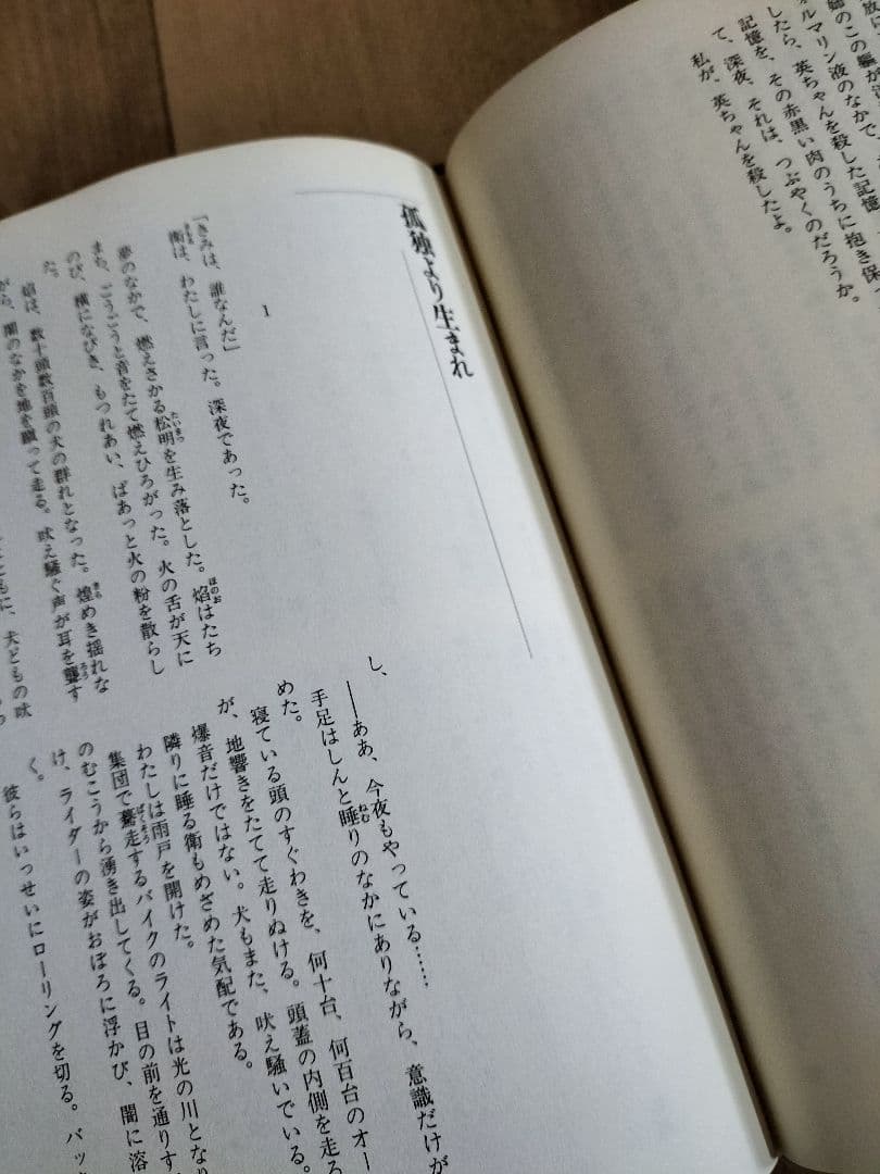 皆川博子作品精華 ミステリー編(迷宮) 千街晶之　選　『初版本』帯有り