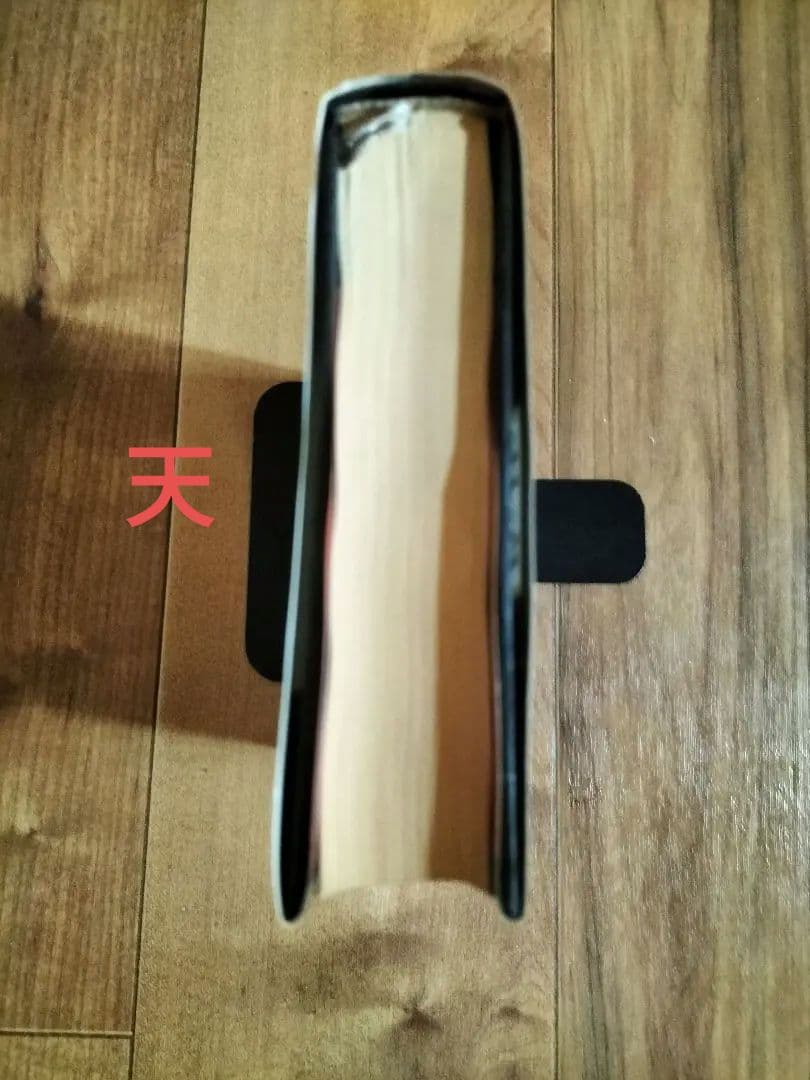 皆川博子作品精華 ミステリー編(迷宮) 千街晶之　選　『初版本』帯有り