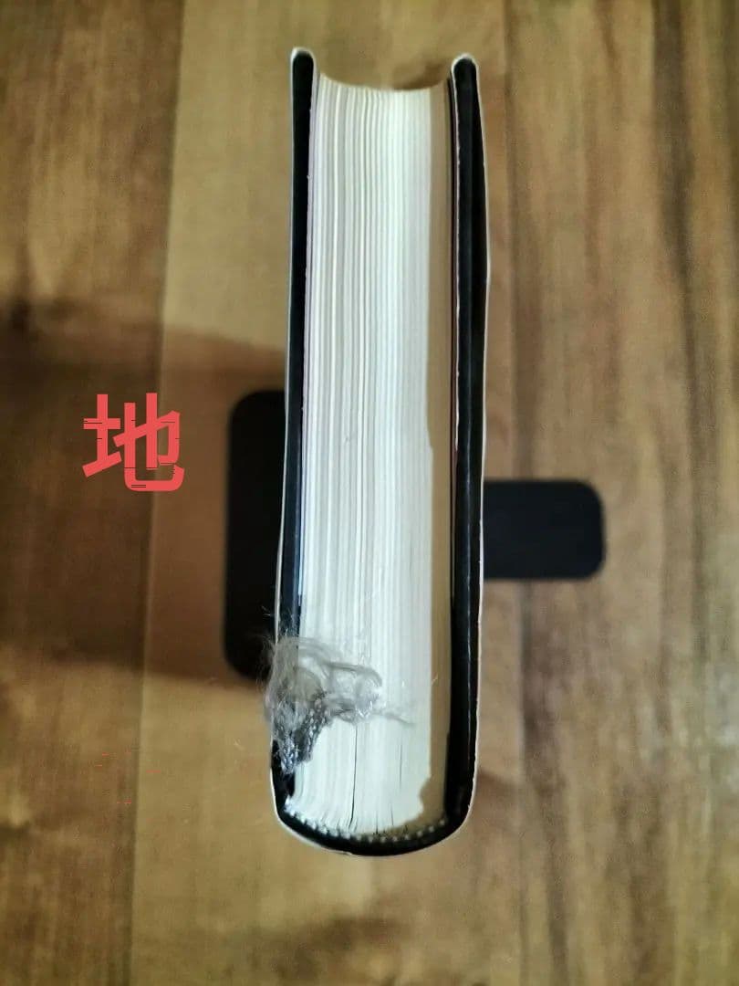 皆川博子作品精華 ミステリー編(迷宮) 千街晶之　選　『初版本』帯有り