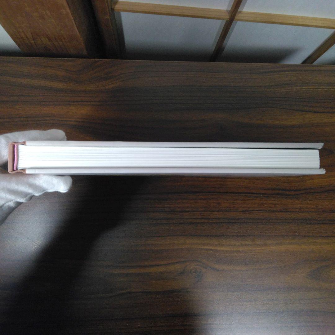 Marisol Sculptures and Works on Paper　図録