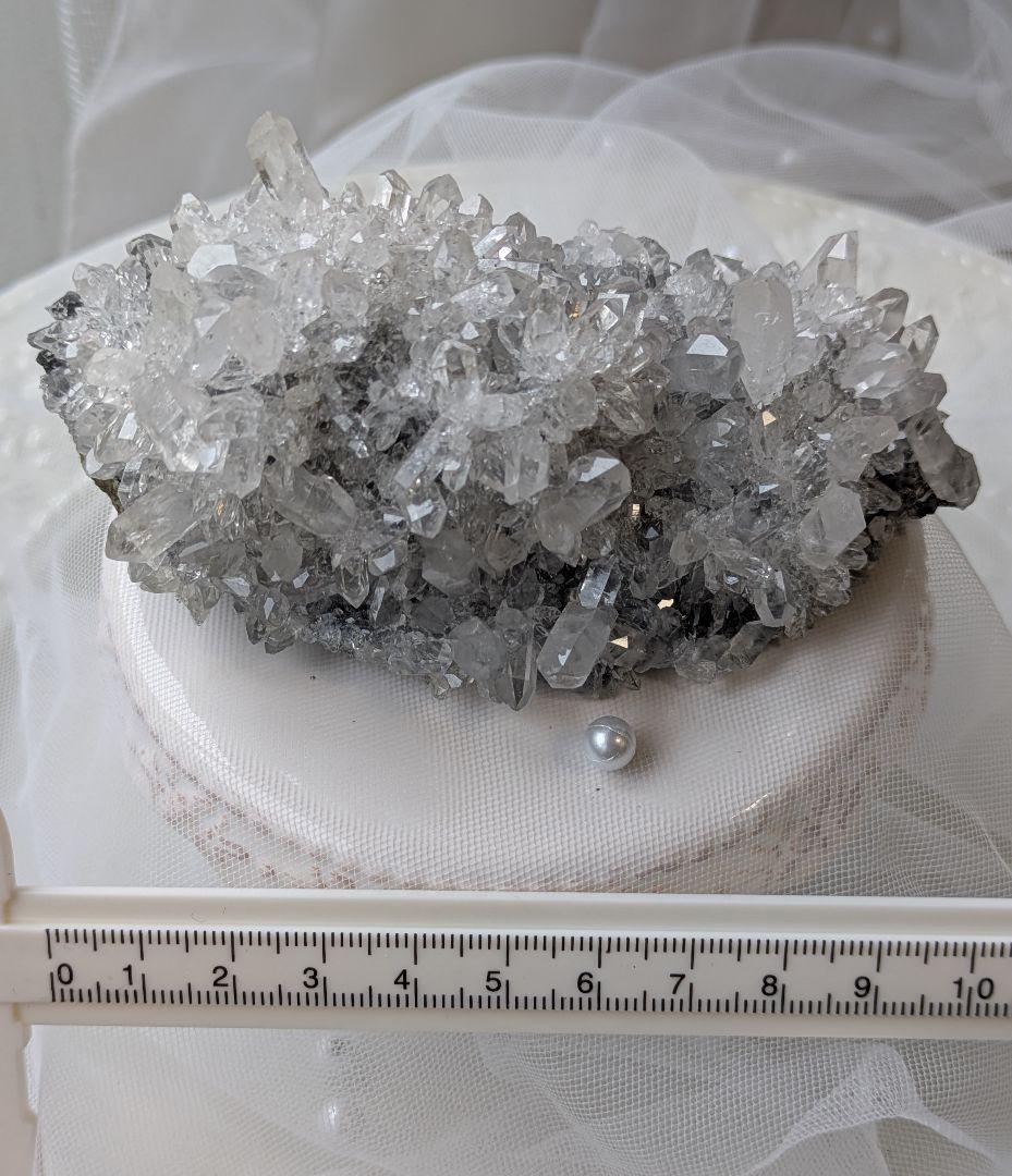 高品質　四川省　♡山形　クラスター♡　蝶々　オマケ付