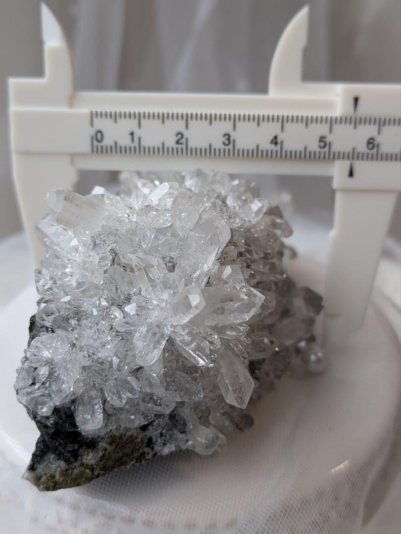 高品質　四川省　♡山形　クラスター♡　蝶々　オマケ付