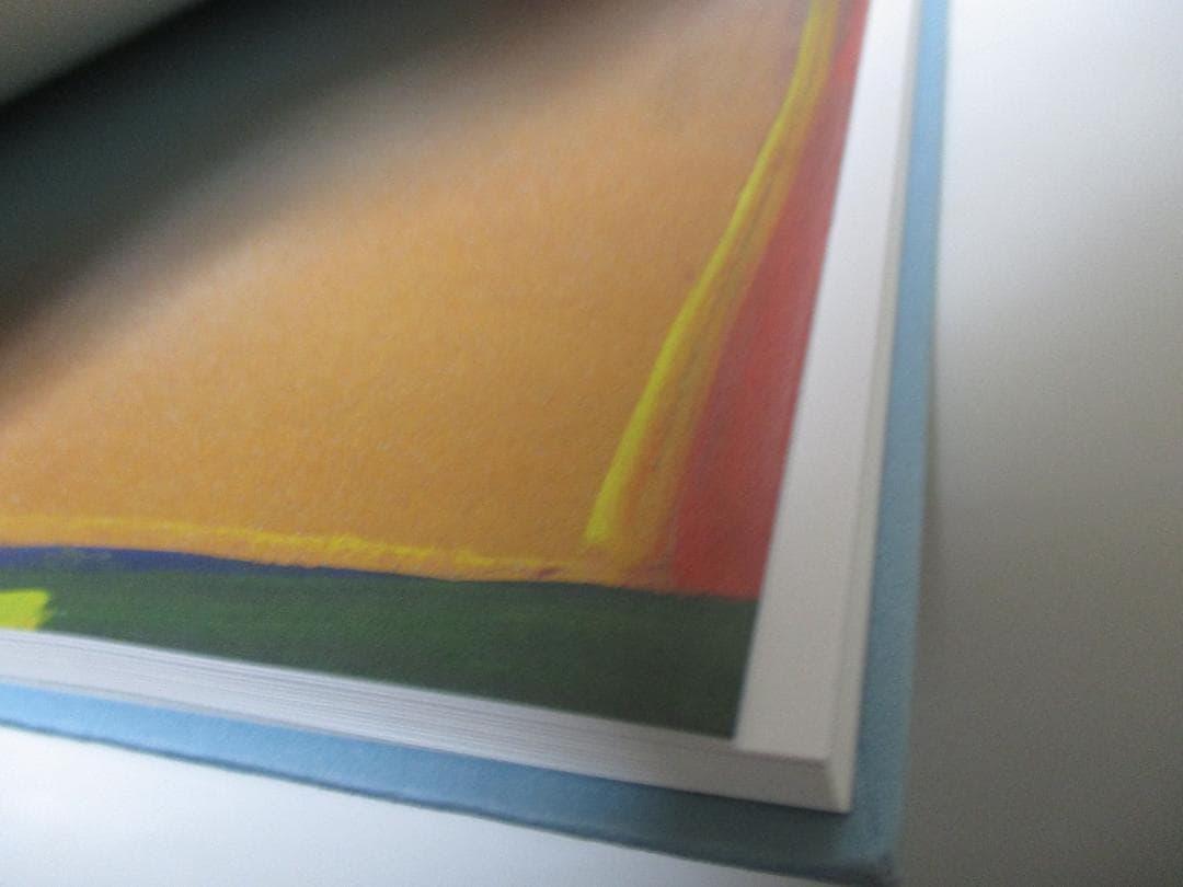 カラーフィールド 色の海を泳ぐ　川村DIC記念美術館 図録