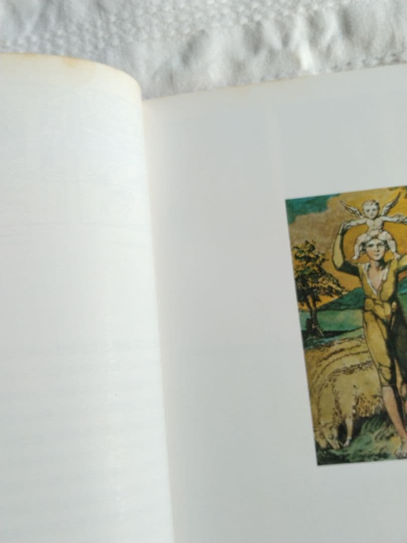 絵本の世界110人のイラストレーター １　箱入り　冊子付き