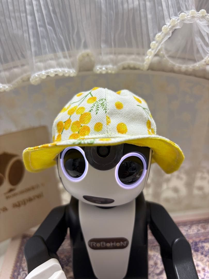 ☆母ちゃん【ロボホン】（ミモザ服セット）☆