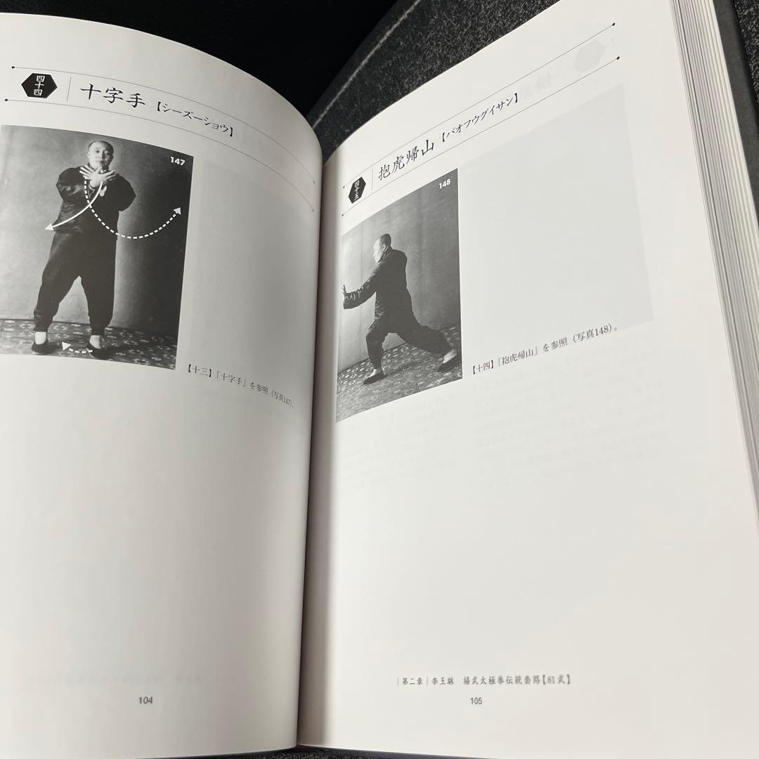 楊式太極拳 李徳印著