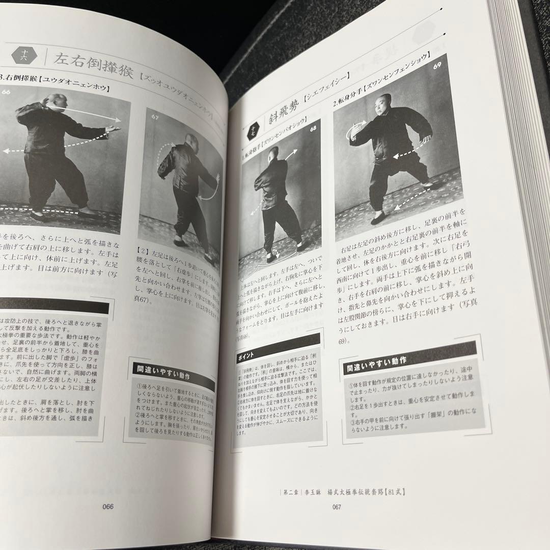 楊式太極拳 李徳印著