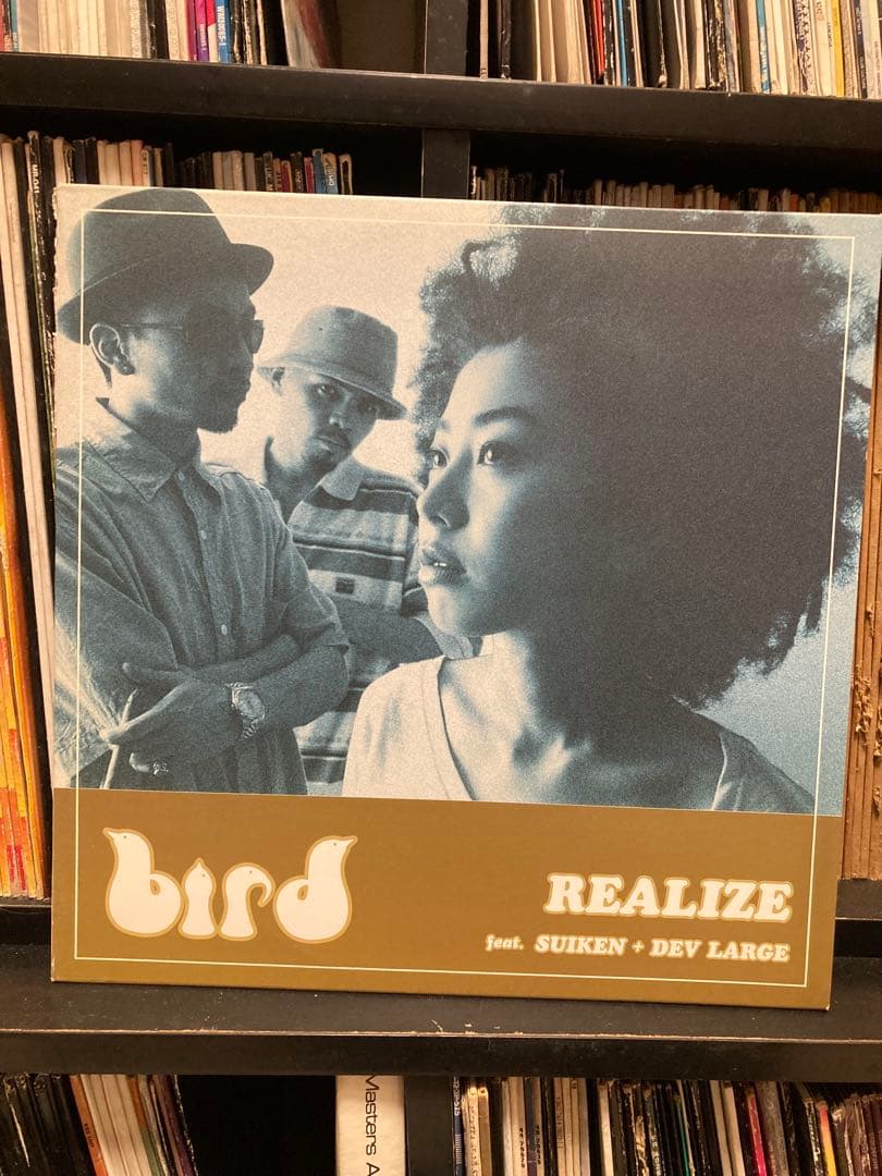 Bird レコード 7枚セット 大沢伸一 DEV LARGE SUIKEN