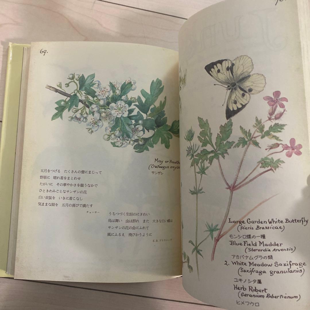 edith holden　イーディス•ホールディン　カントリーダイアリー