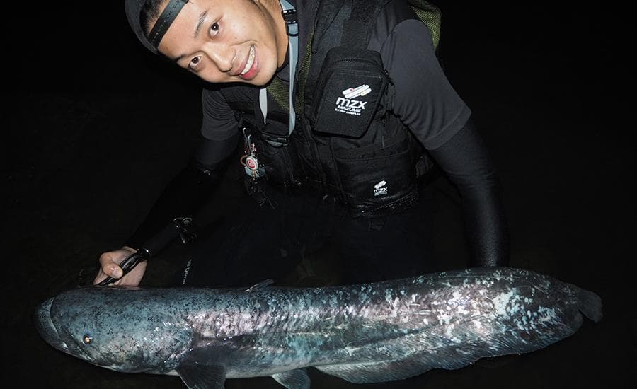 【Fishman】BRIST MARINO 8.0M /*