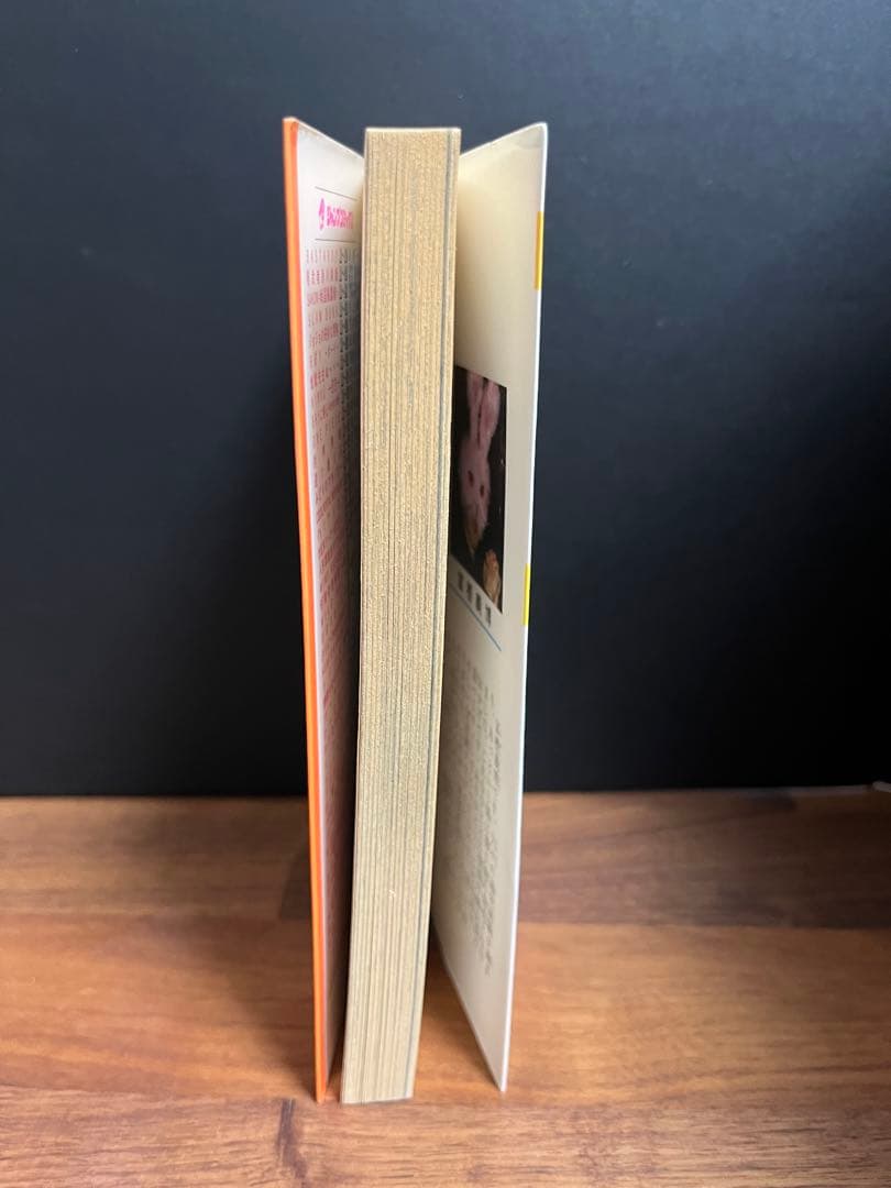 漫画　HUNTER×HUNTER（ハンター×ハンター） 1巻　初版