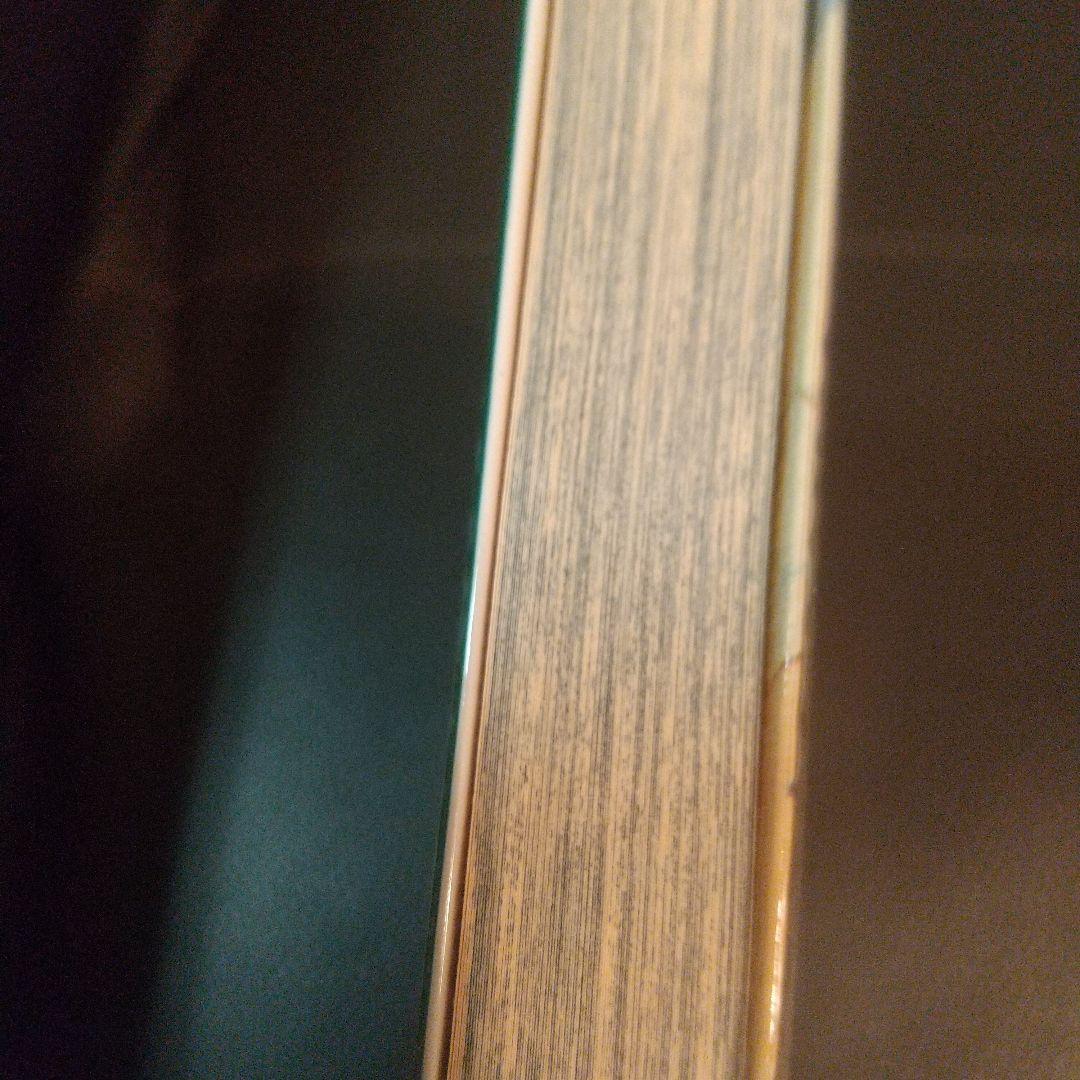 私が見た未来 たつき諒 初版