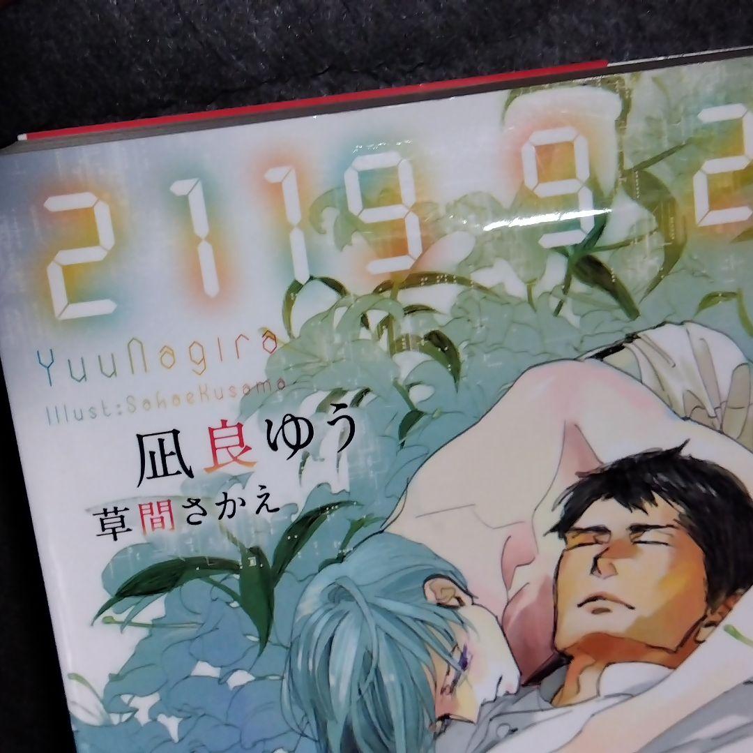凪良ゆう8冊 花嫁はマリッジブルー 花嫁は今夜もブルー 全ての恋は病から