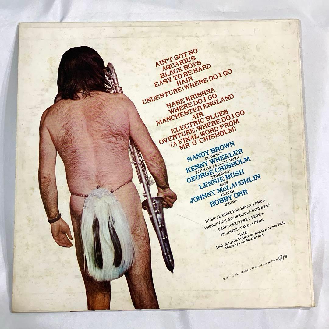 LP HAIR at it's hairiest Sandy Brown ヘア