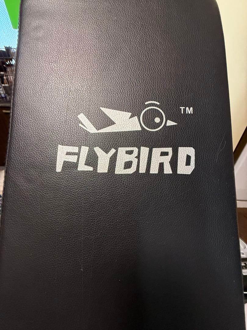 【手渡し限定】FLYBIRD 調整可能ベンチ台／アイロテック・ダンベルセット