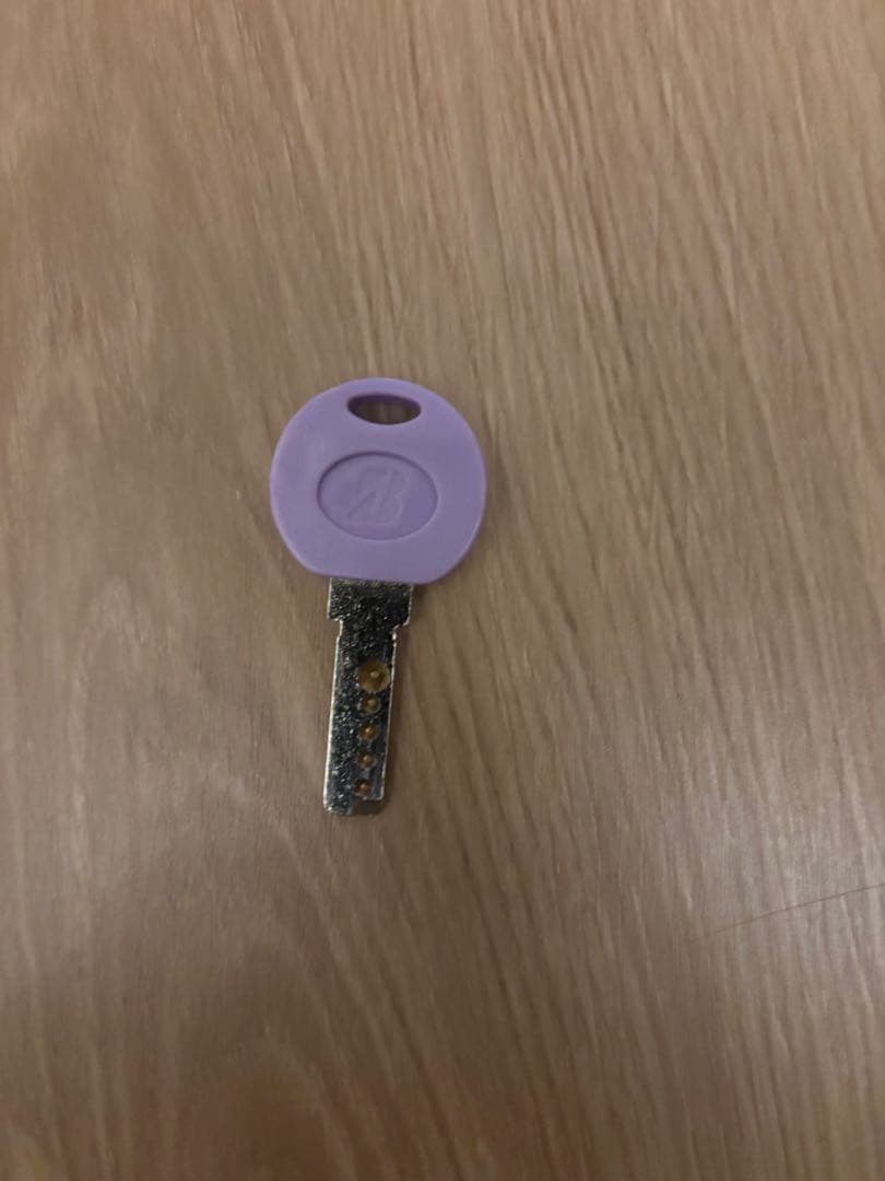 ブリヂストン　子供用自転車 リコリーナ　22インチ　中古