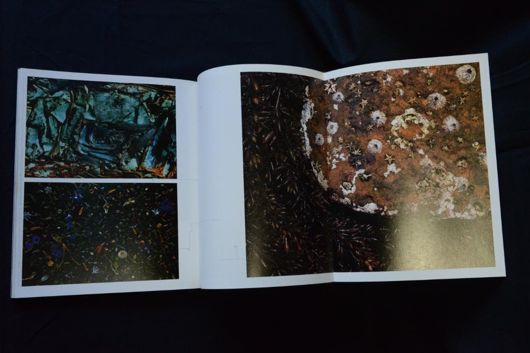 【廃園】東松照明作品集