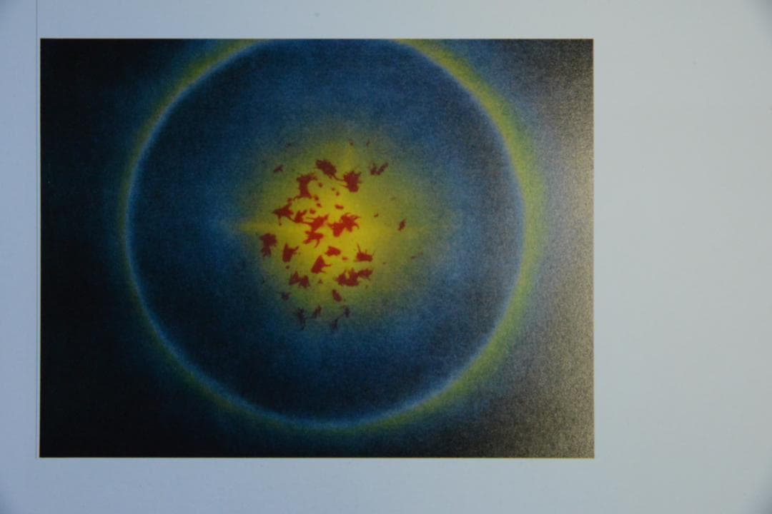 【廃園】東松照明作品集