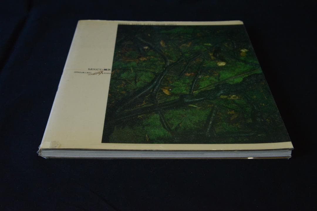 【廃園】東松照明作品集