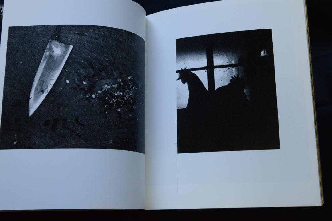 【廃園】東松照明作品集