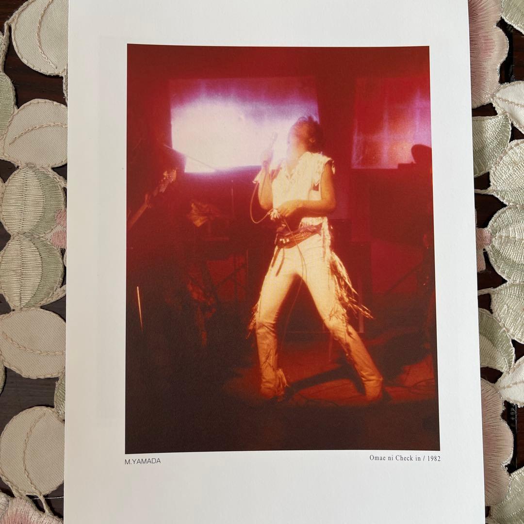 沢田研二 LIVE-2008 パンフレット