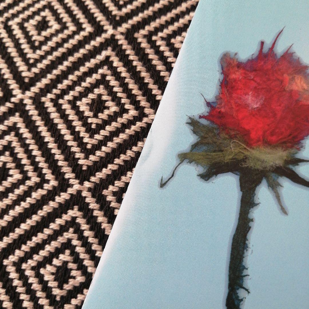 ぱぱぼっくす+3 / ぱぱぼっくす