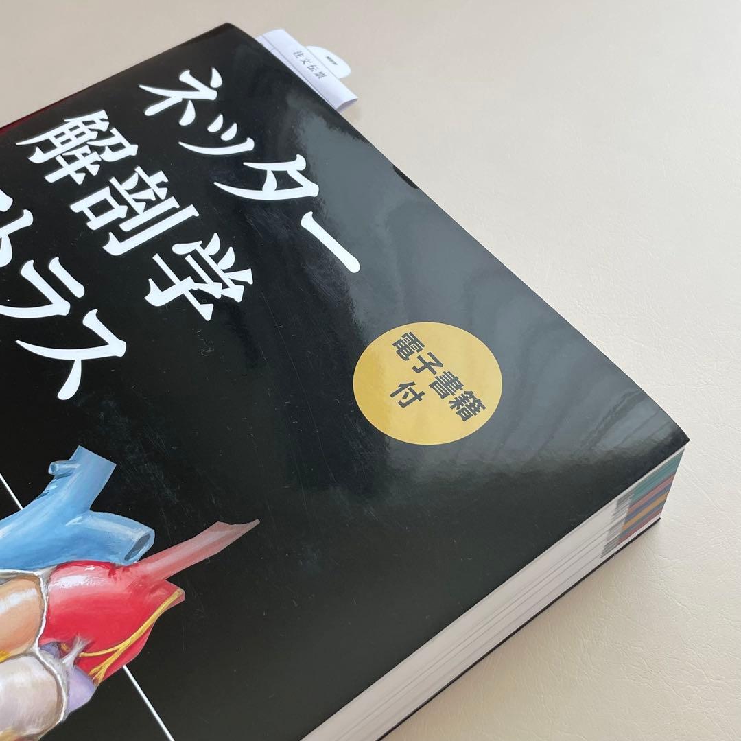 【電子書籍使用不可】ネッター解剖学アトラス(原書第7版)