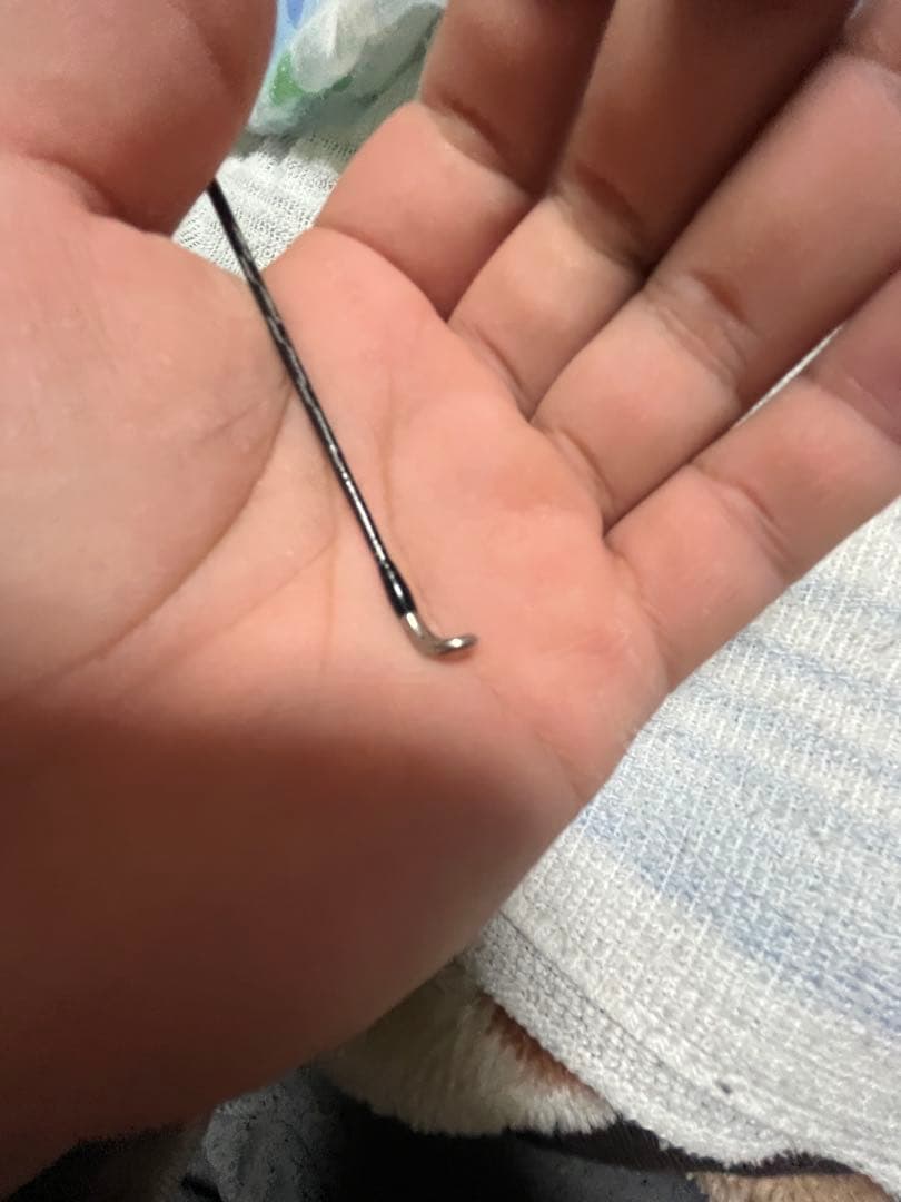 セフィアXR Ｓ８６Ｍ