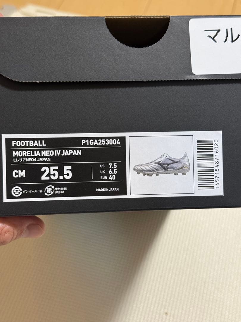 モレリアネオ425.5cm